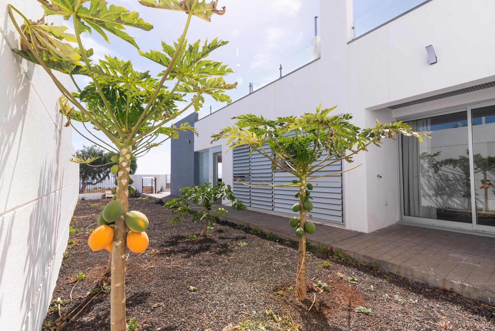 House Near The Beach W Sea View Arico Exterior photo